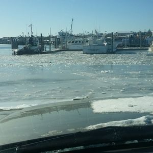 Meet your Posher, Lester